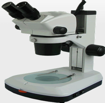XTL-BM-8B连续变倍体视显微镜生产厂家_仪器仪表栏目