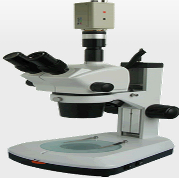 XTL-BM-8TC连续变倍体视显微镜/体视显微镜价格/显微镜厂家_仪器仪表栏目