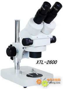 xtl 2600双目连续变倍体视显微镜